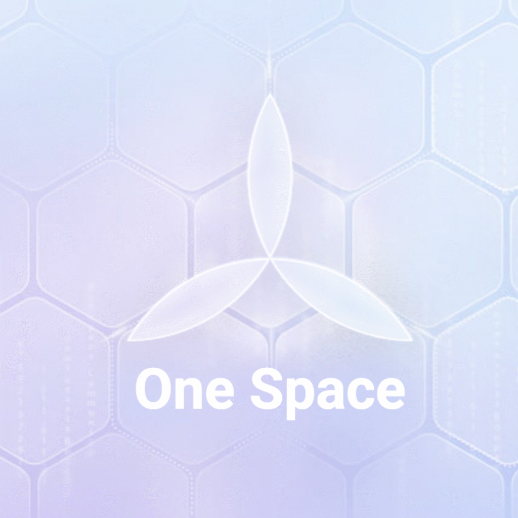 Верификация на платформе One Space